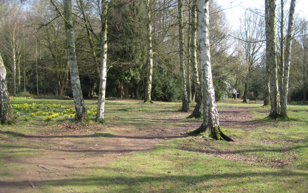 Apley Woods