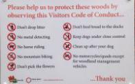 Caring for the Woods and Wildlife