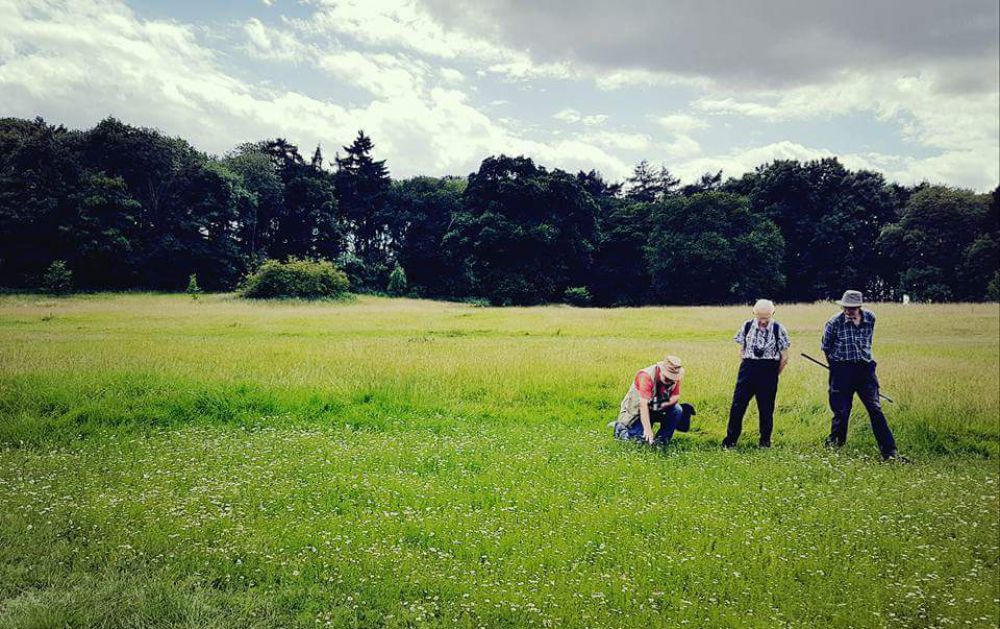 Apley Woods Apley Woods